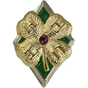 Amethyst Clover of Excellence