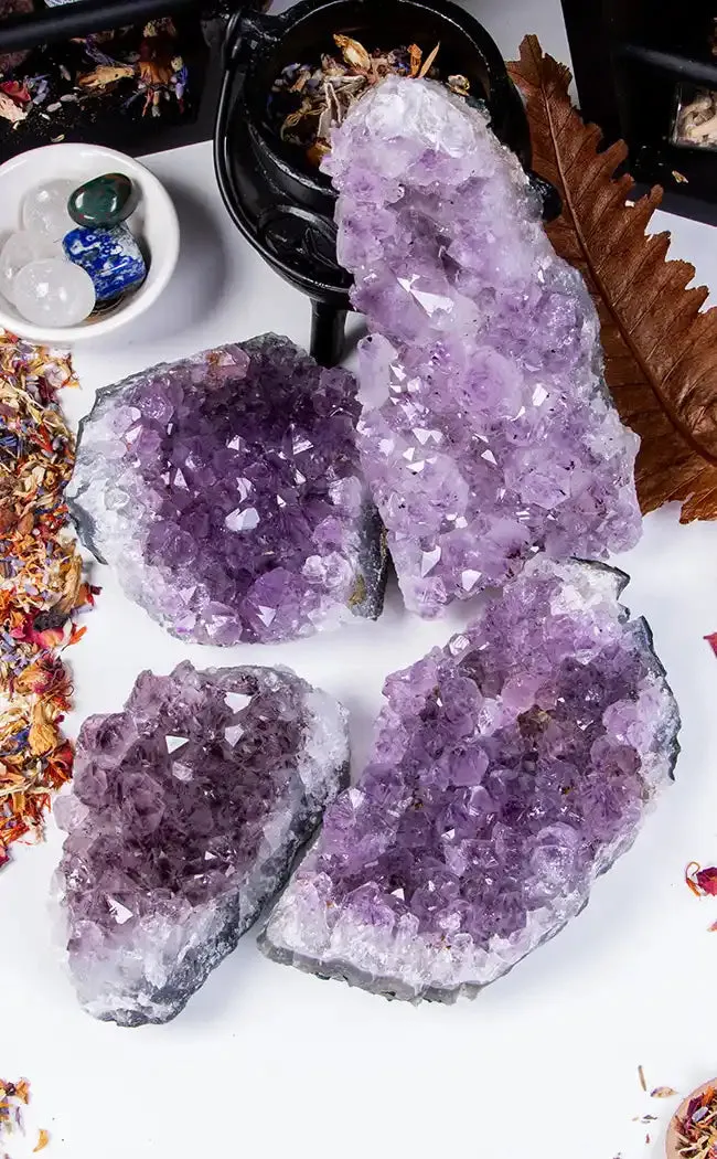 Amethyst Cluster - Jumbo