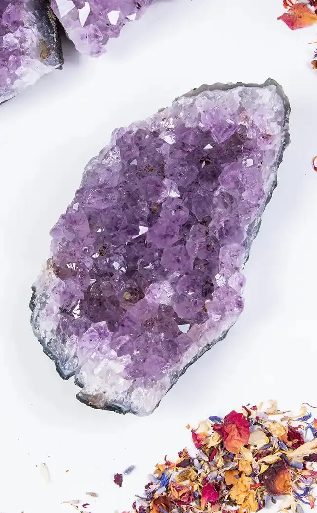 Amethyst Cluster - Jumbo