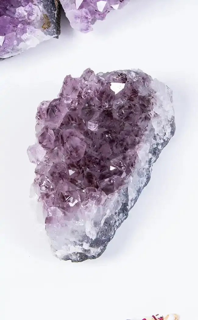 Amethyst Cluster - Jumbo