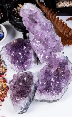 Amethyst Cluster - Jumbo