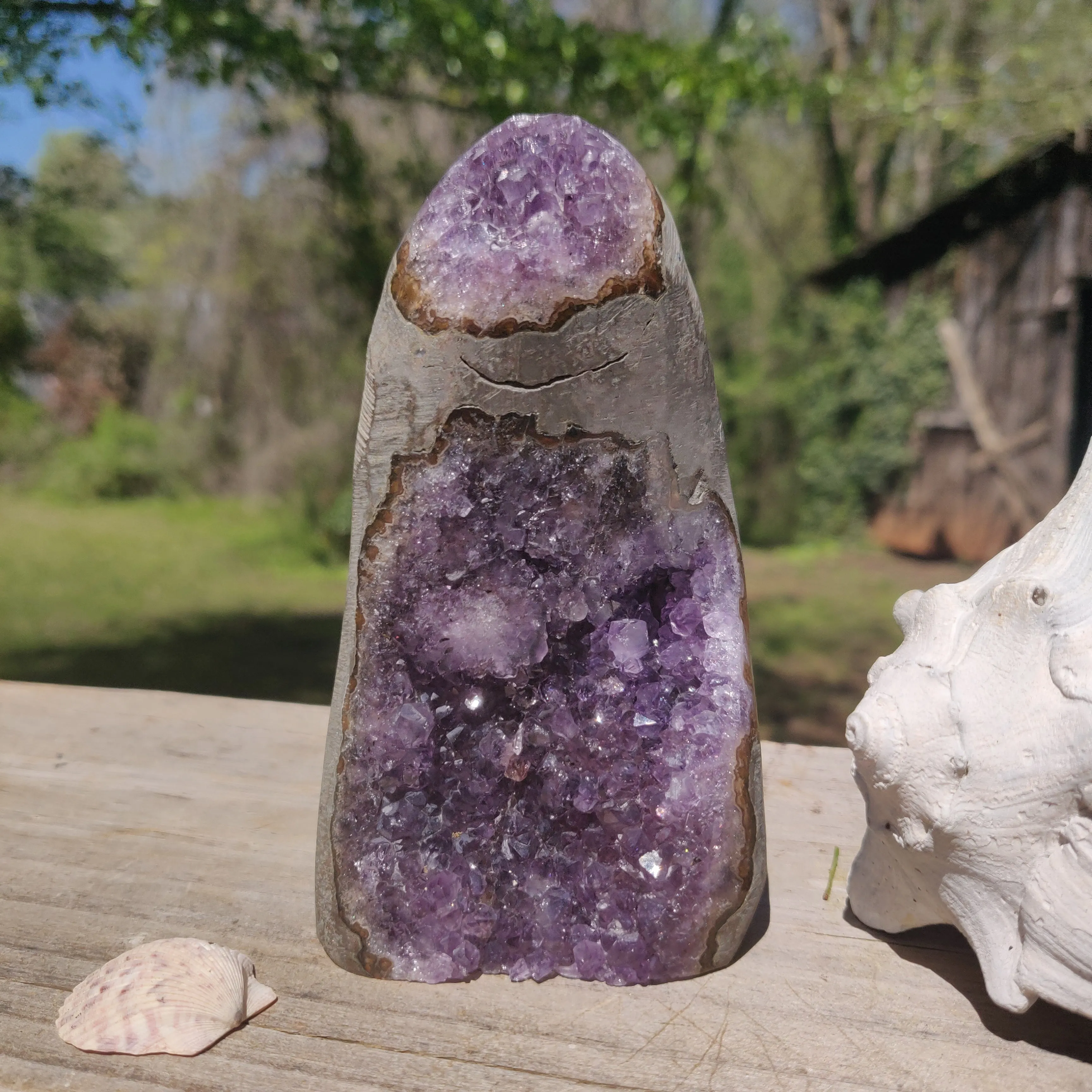 Amethyst Geode Free Form, Polished (#12)