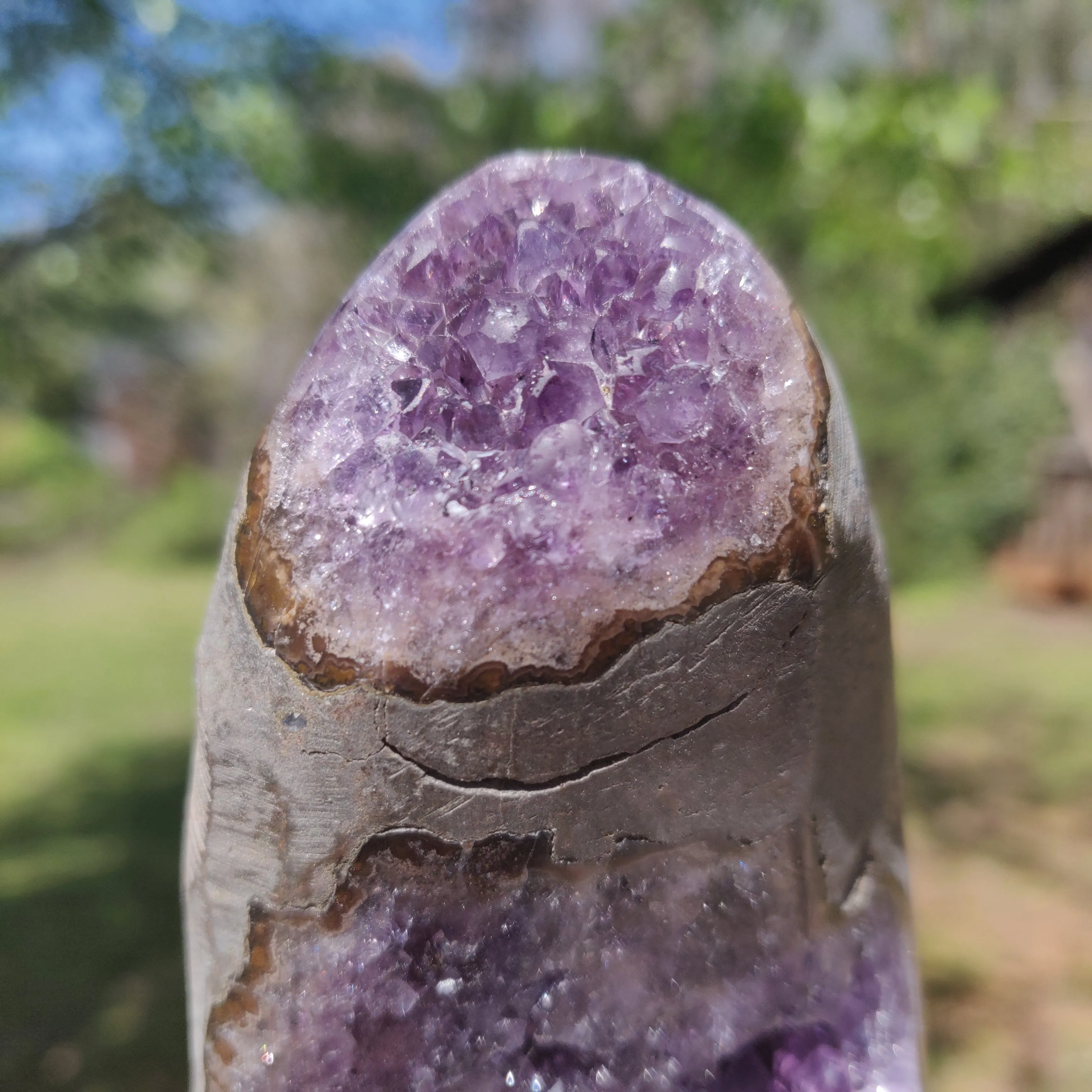 Amethyst Geode Free Form, Polished (#12)