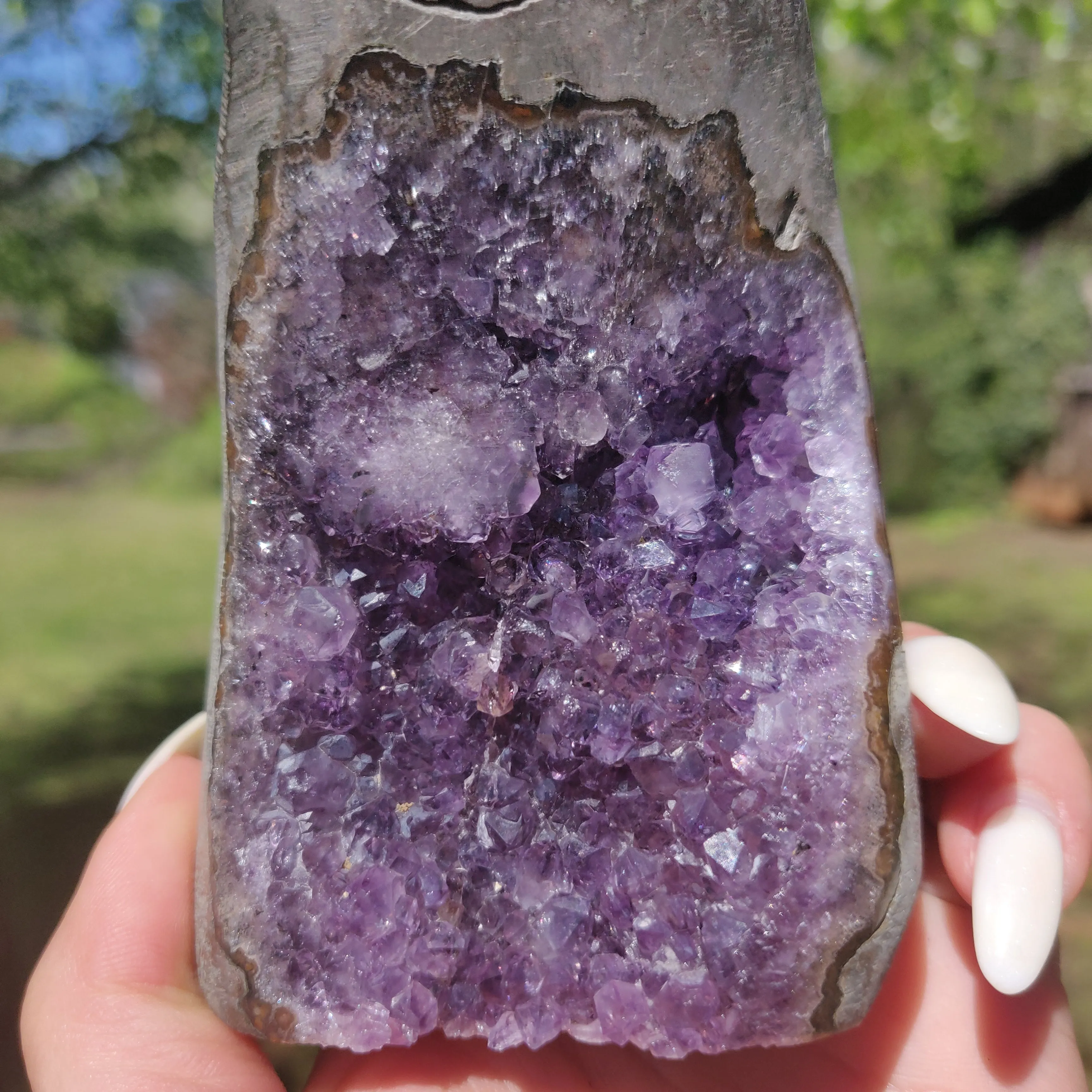 Amethyst Geode Free Form, Polished (#12)