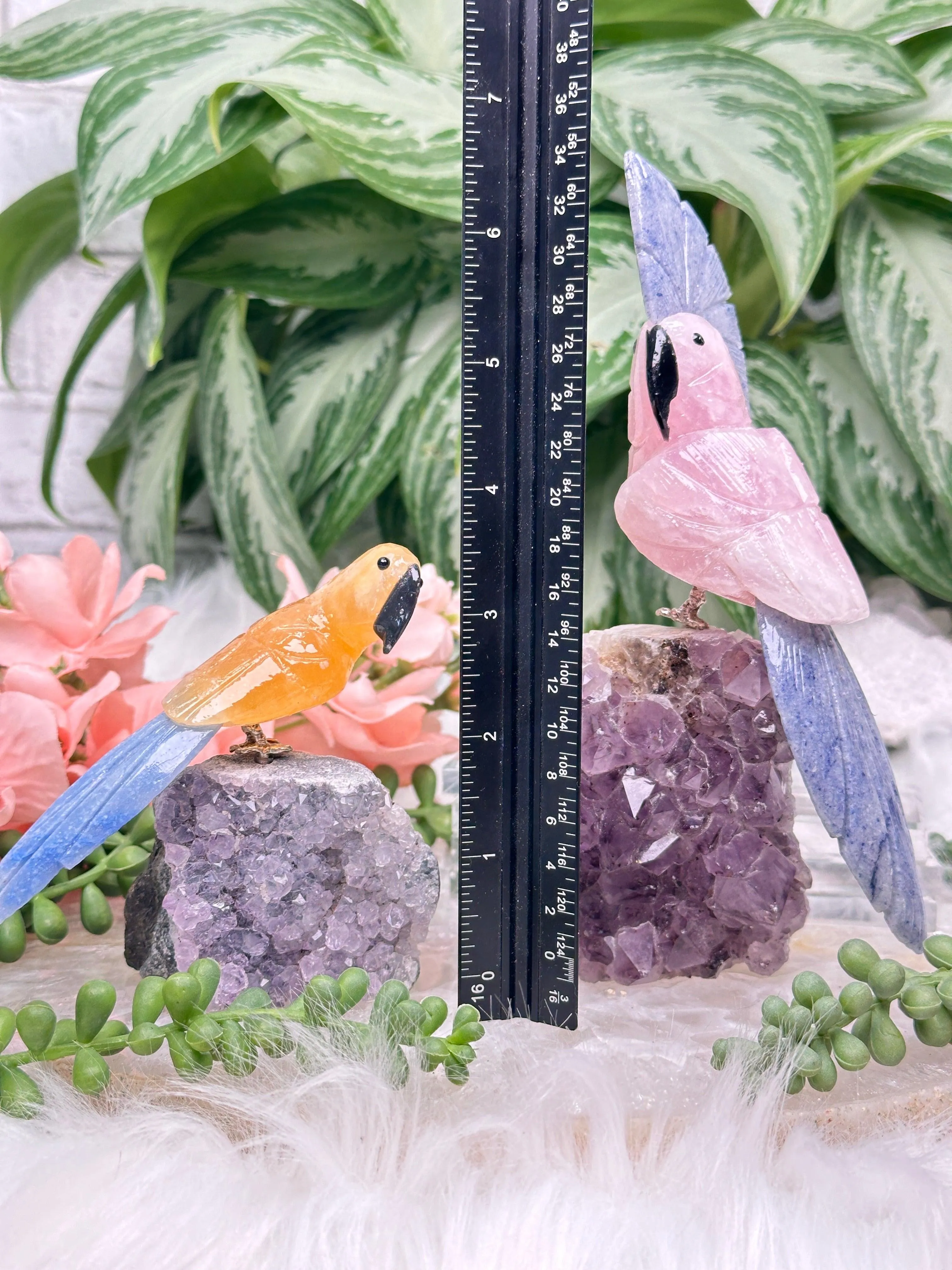 Crystal Birds
