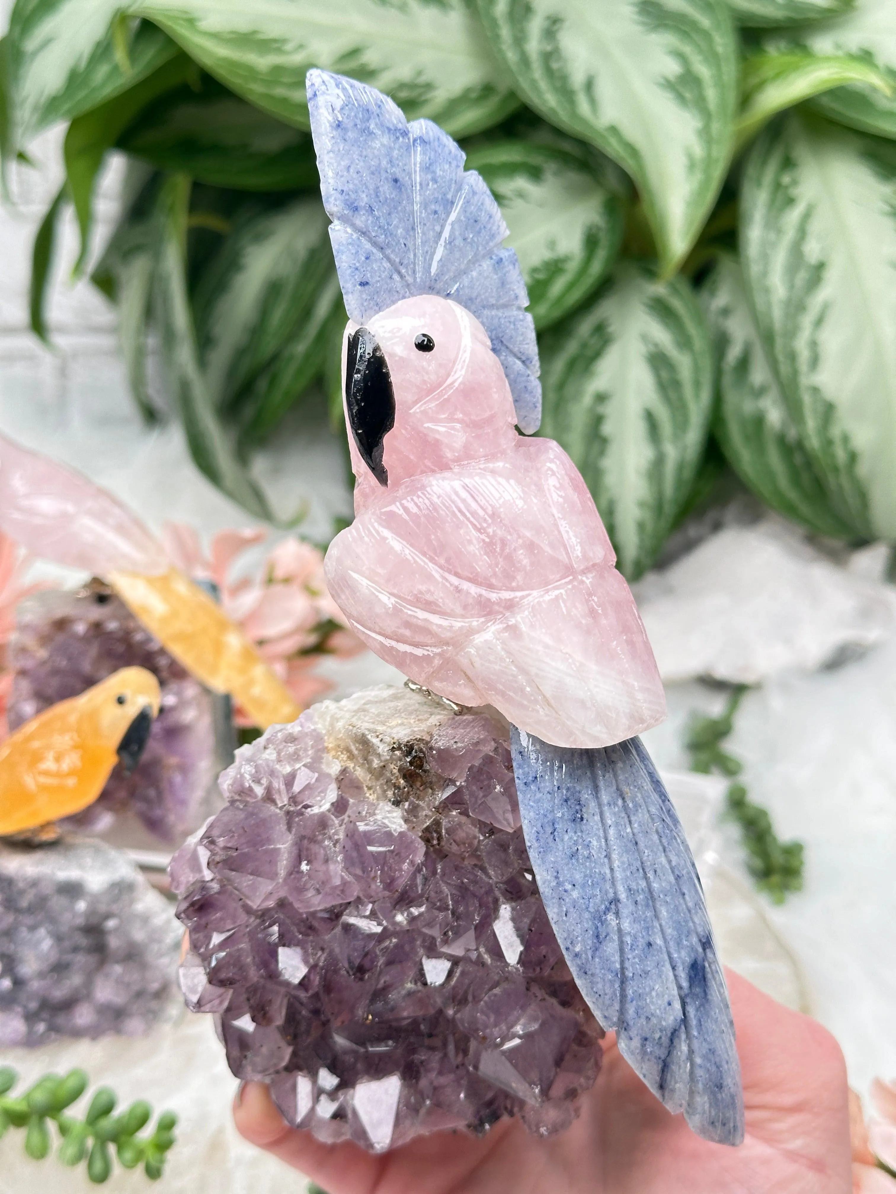 Crystal Birds