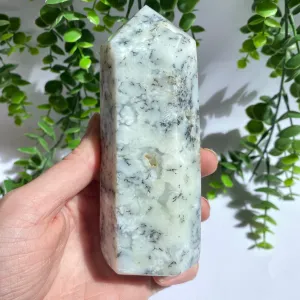 Dendritic Quartz Point