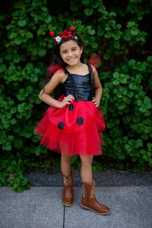 Ladybug Dress & Headband