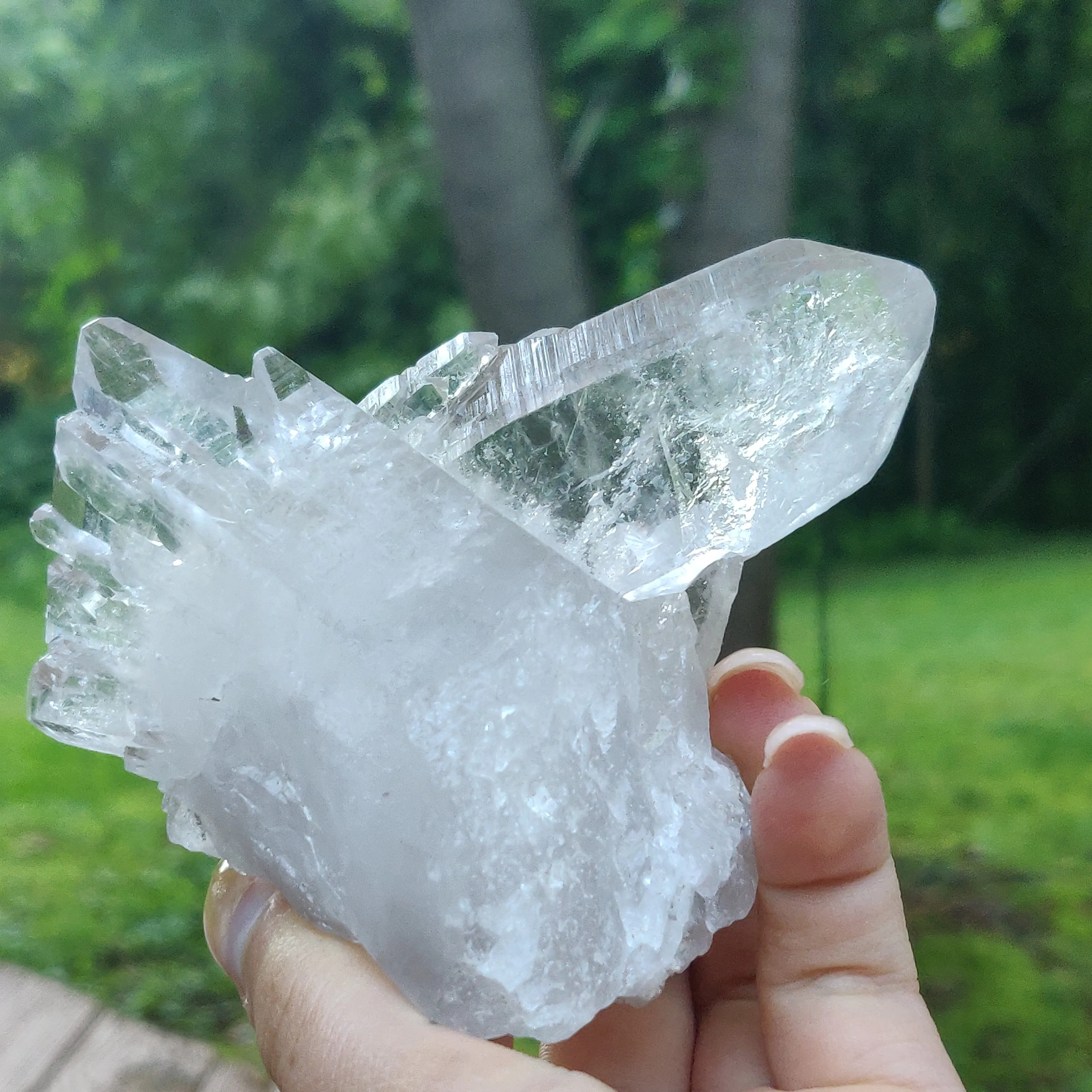 Lemurian Quartz Point (#5)