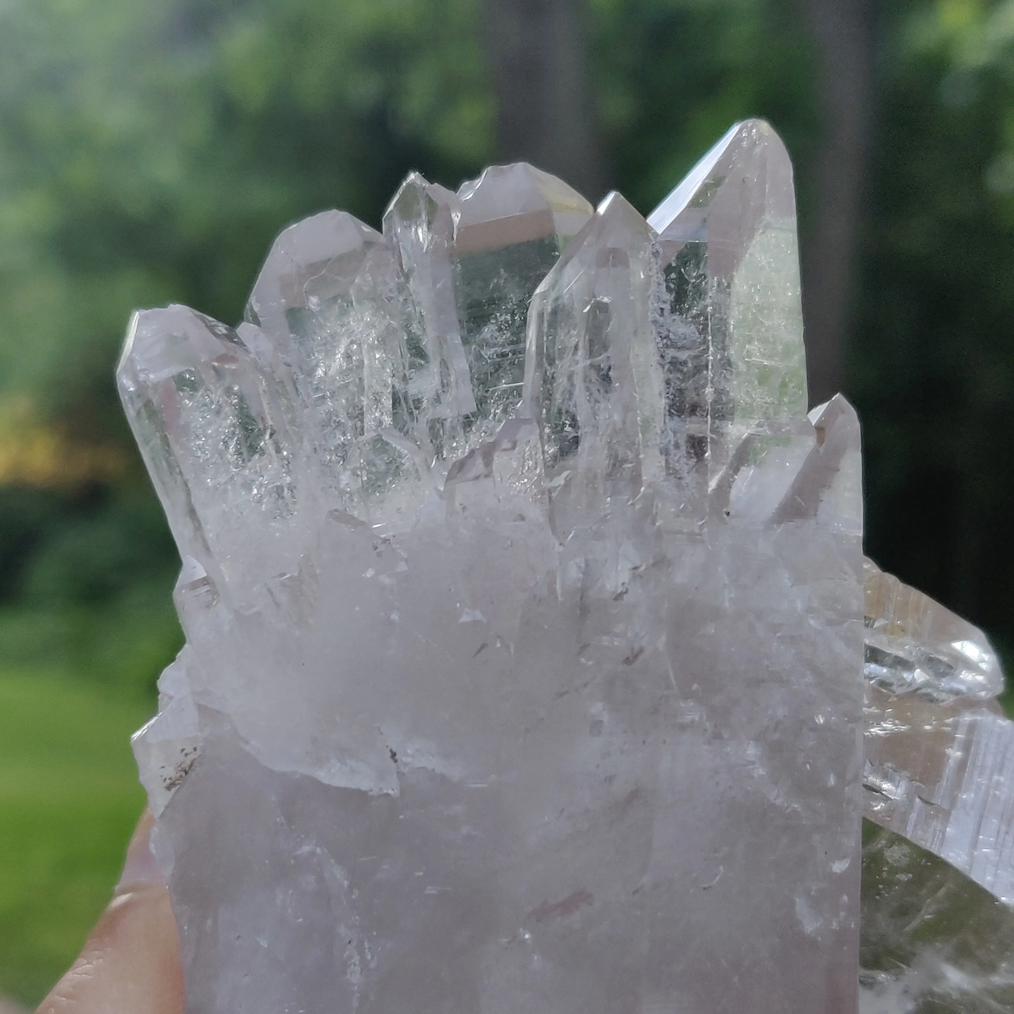 Lemurian Quartz Point (#5)