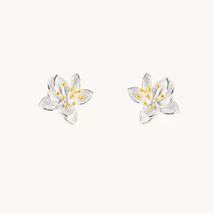 Lotus Stud Earrings