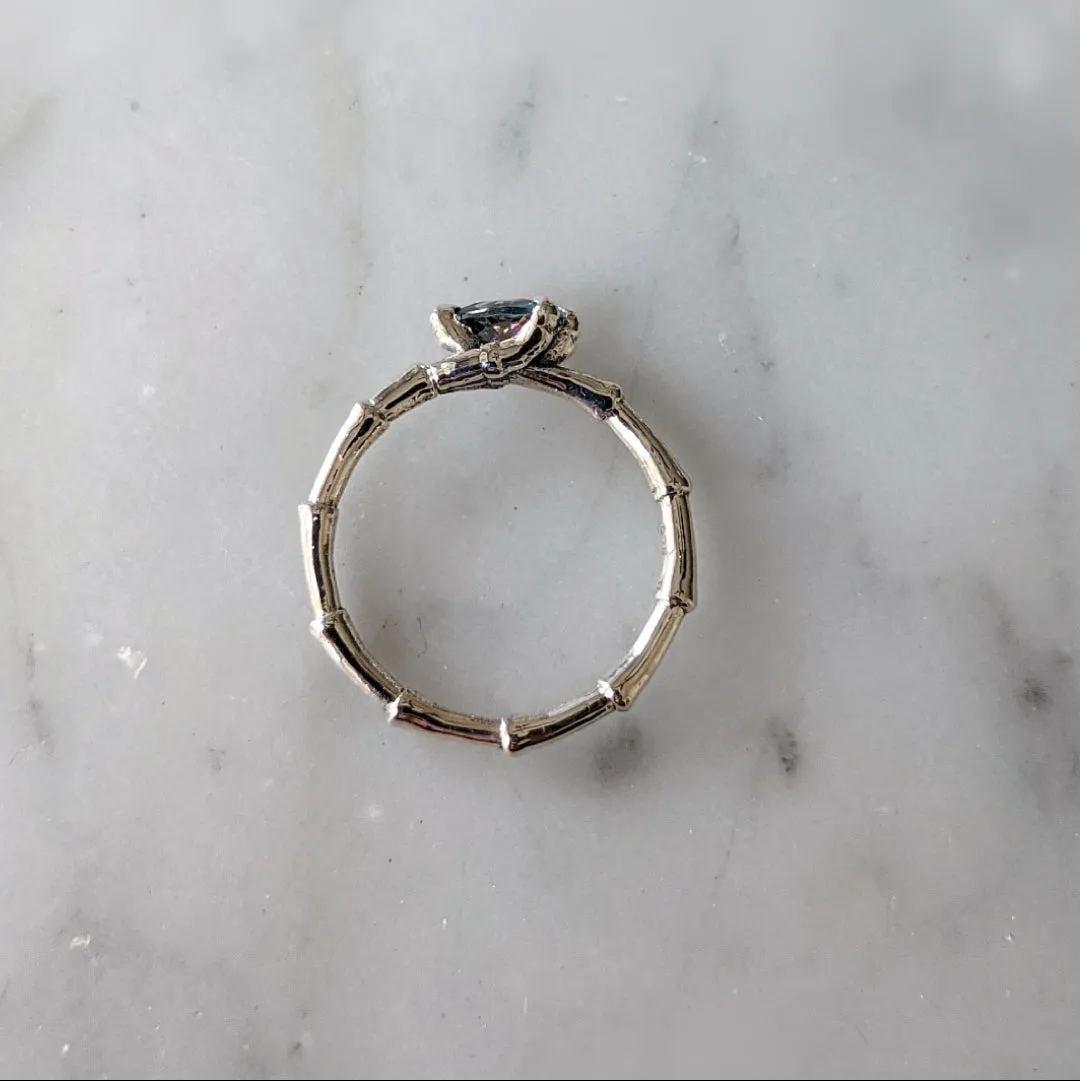 Mystic Raven Ring