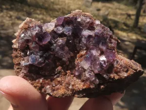 Natural Dark Amethyst Crystal Geodes & Plates x 12 From Zululand, South Africa