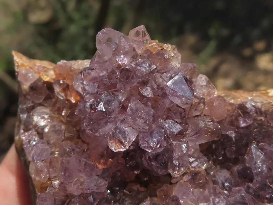 Natural Dark Amethyst Crystal Geodes & Plates x 12 From Zululand, South Africa
