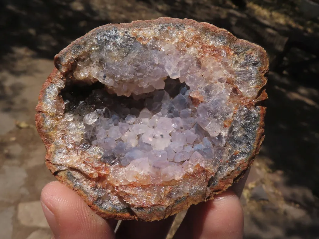 Natural Dark Amethyst Crystal Geodes & Plates x 12 From Zululand, South Africa