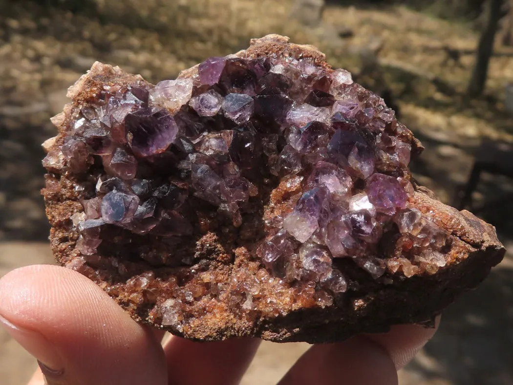 Natural Dark Amethyst Crystal Geodes & Plates x 12 From Zululand, South Africa