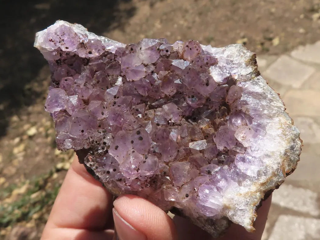 Natural Dark Amethyst Crystal Geodes & Plates x 12 From Zululand, South Africa