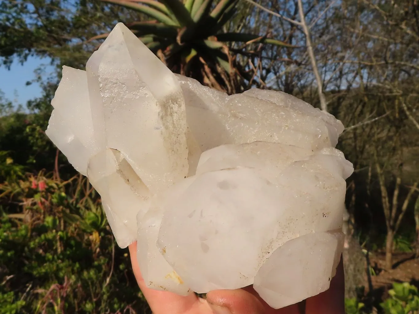 Natural Lovely White Quartz Clusters  x 2 From Madagascar