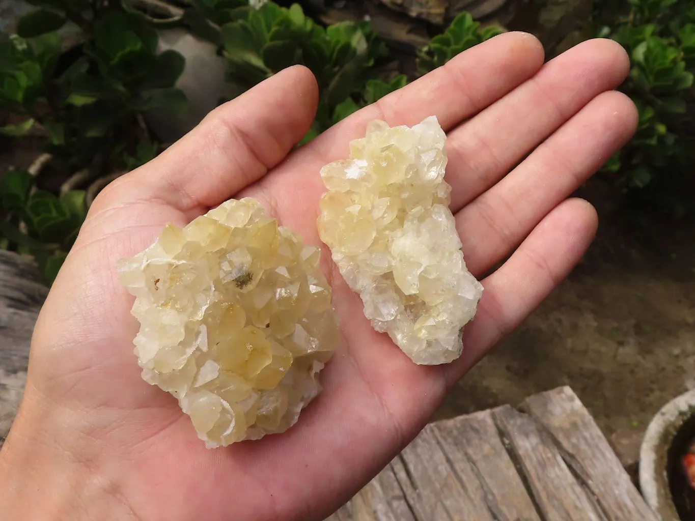 Natural Small Limonite Quartz Clusters x 36 From Solwezi, Zambia