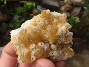 Natural Small Limonite Quartz Clusters x 36 From Solwezi, Zambia