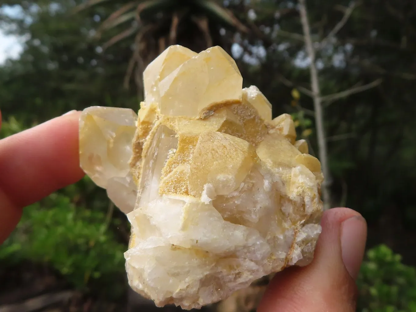 Natural Small Limonite Quartz Clusters x 36 From Solwezi, Zambia