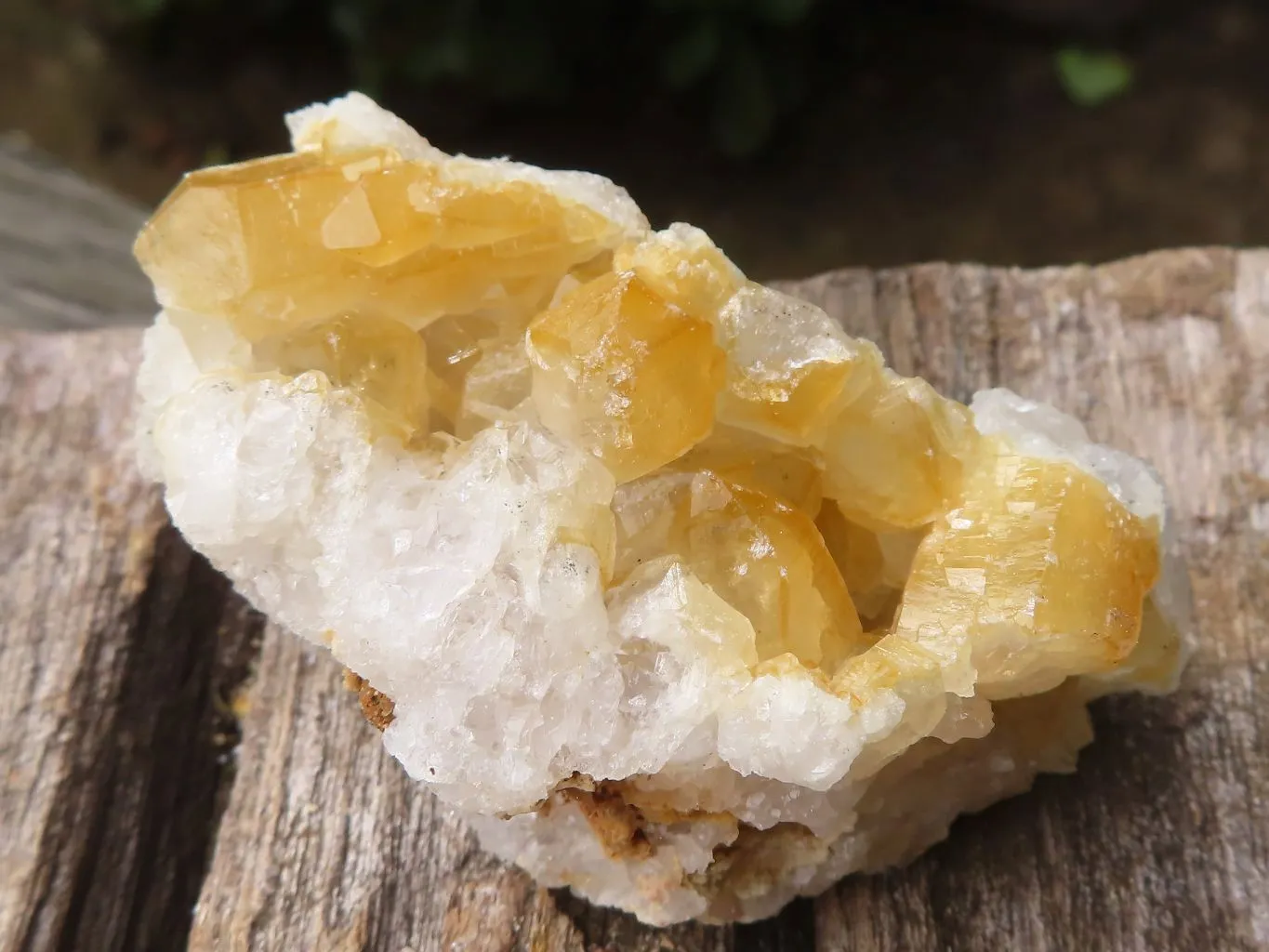 Natural Small Limonite Quartz Clusters x 36 From Solwezi, Zambia