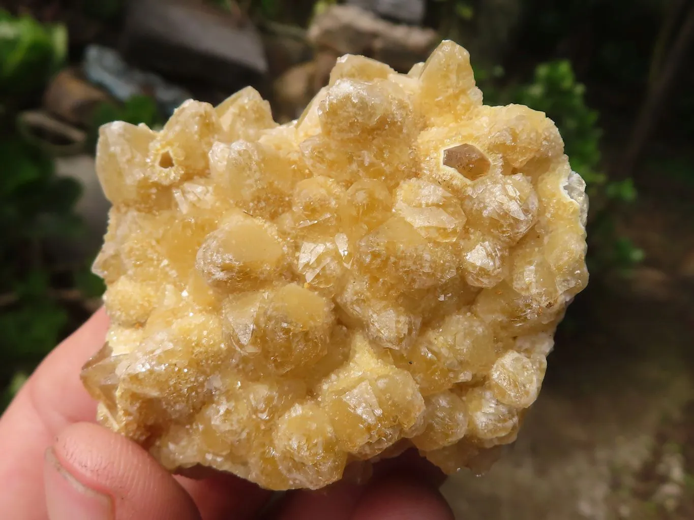 Natural Small Limonite Quartz Clusters x 36 From Solwezi, Zambia