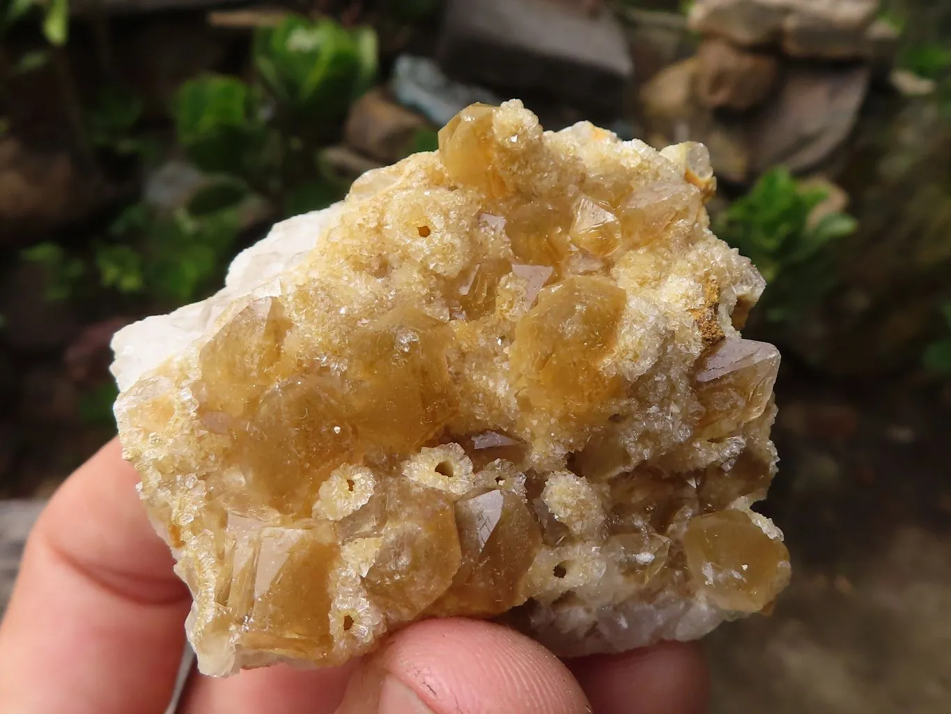 Natural Small Limonite Quartz Clusters x 36 From Solwezi, Zambia