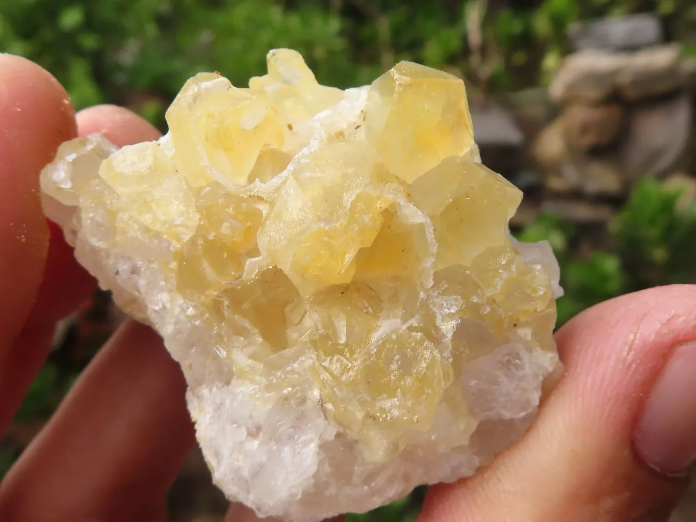Natural Small Limonite Quartz Clusters x 36 From Solwezi, Zambia
