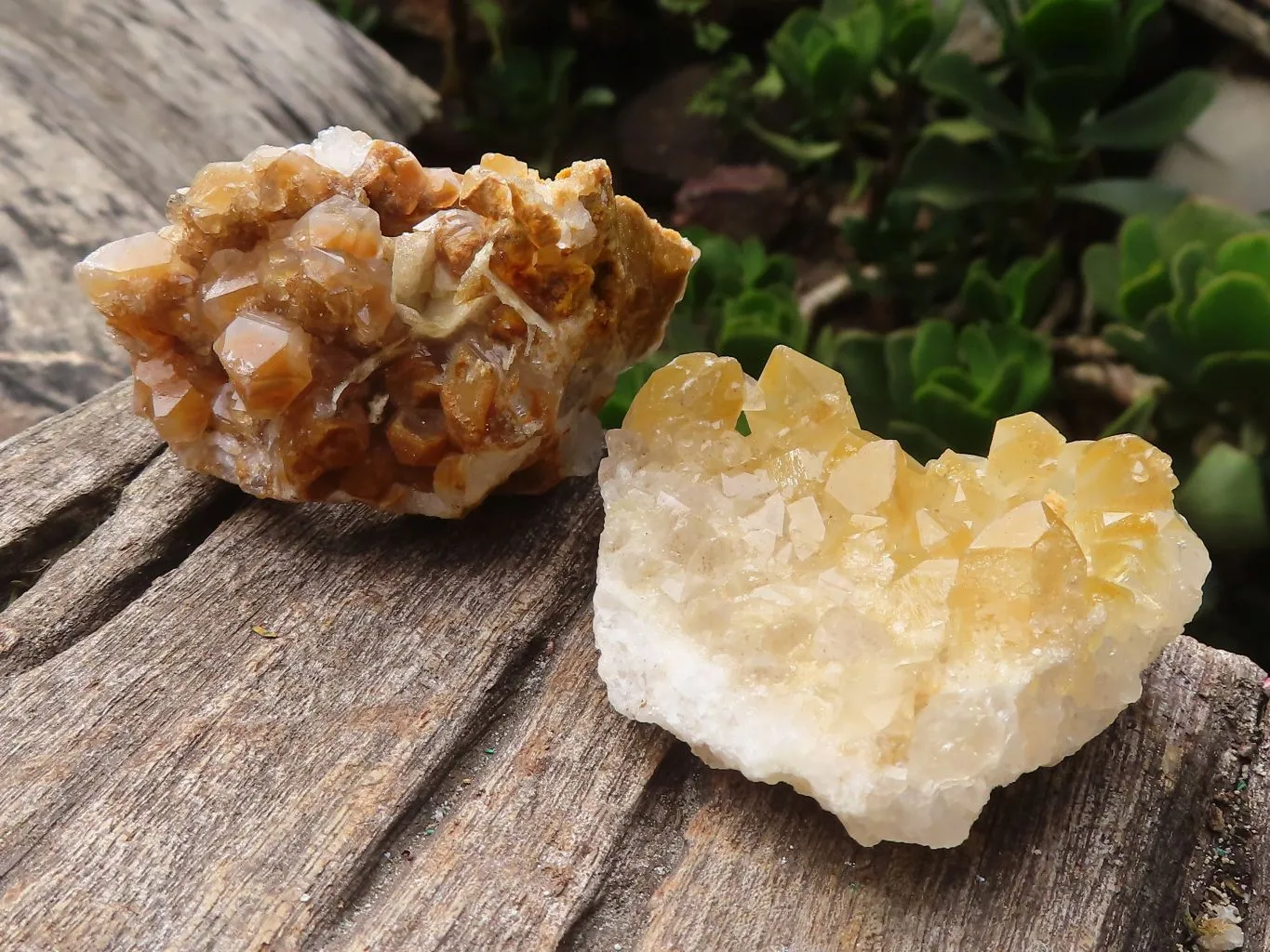 Natural Small Limonite Quartz Clusters x 36 From Solwezi, Zambia