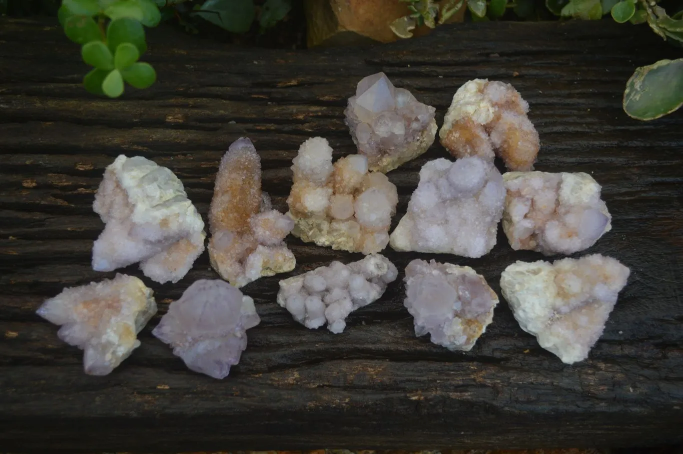 Natural Spirit Amethyst Quartz Specimens x 12 From Boekenhouthoek, South Africa
