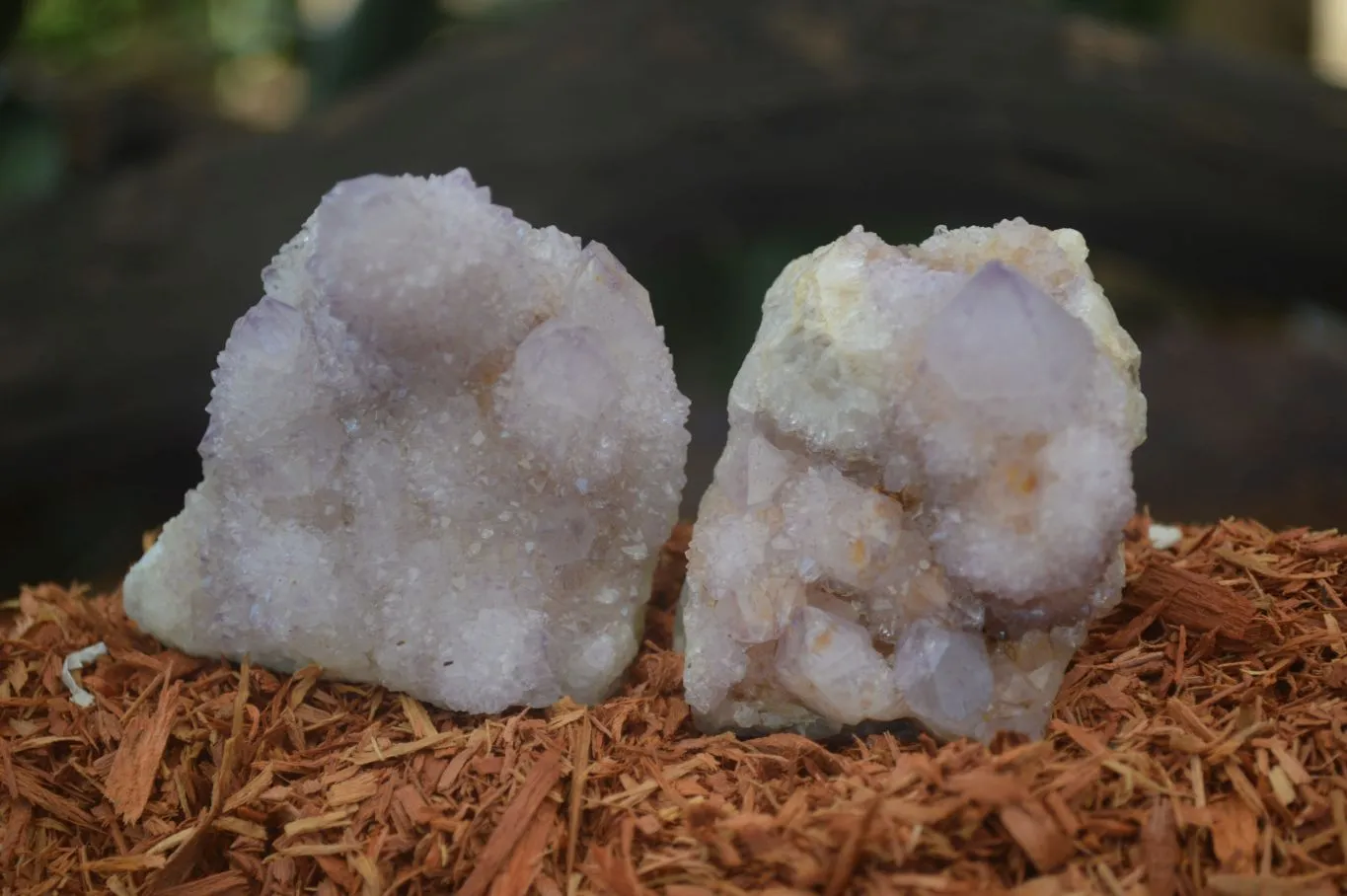 Natural Spirit Amethyst Quartz Specimens x 12 From Boekenhouthoek, South Africa
