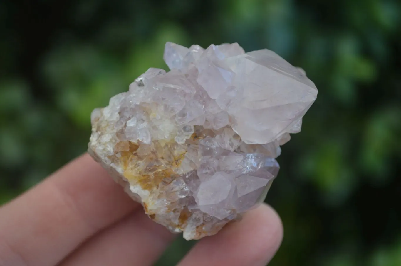 Natural Spirit Amethyst Quartz Specimens x 12 From Boekenhouthoek, South Africa