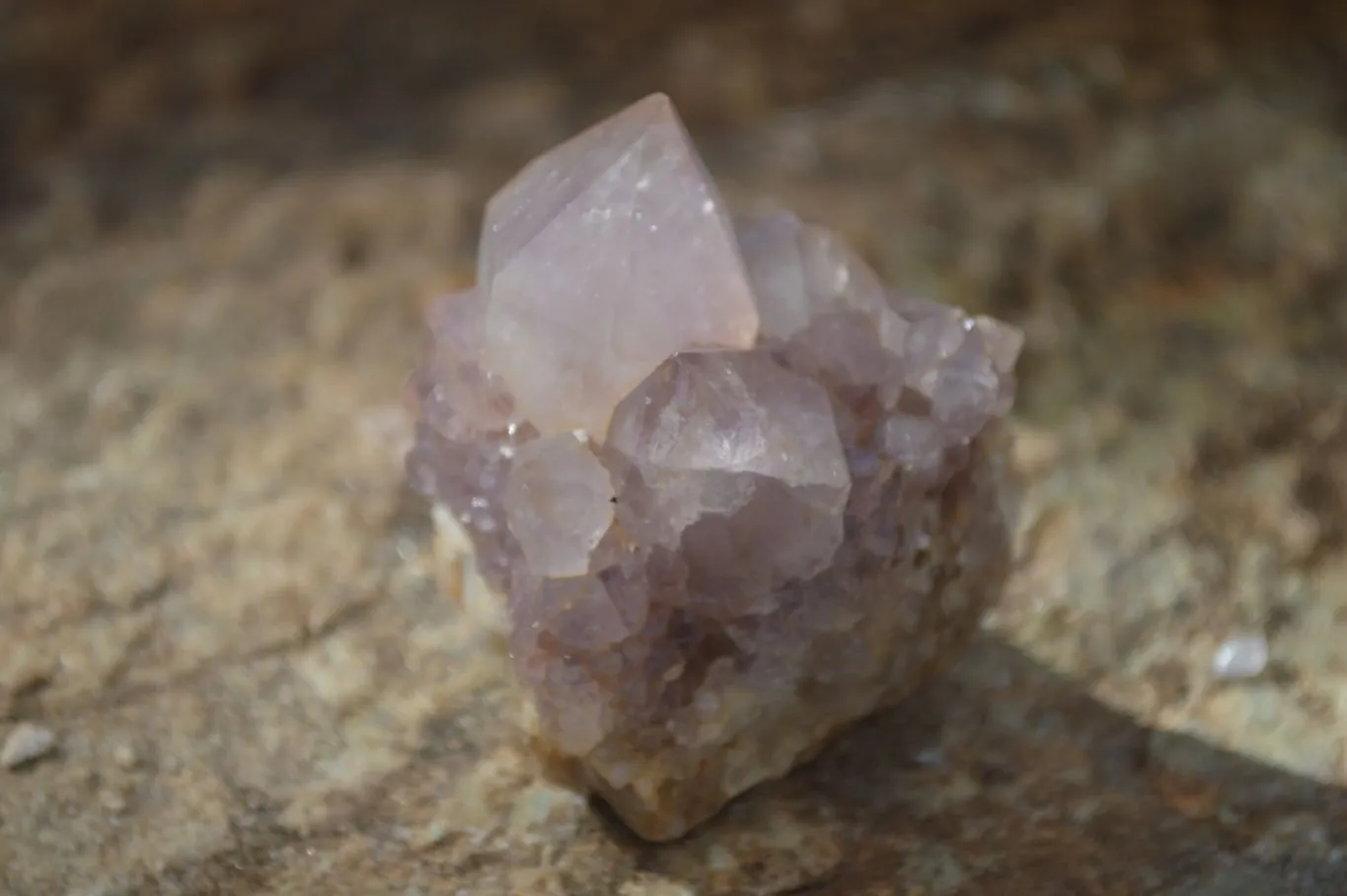 Natural Spirit Amethyst Quartz Specimens x 12 From Boekenhouthoek, South Africa