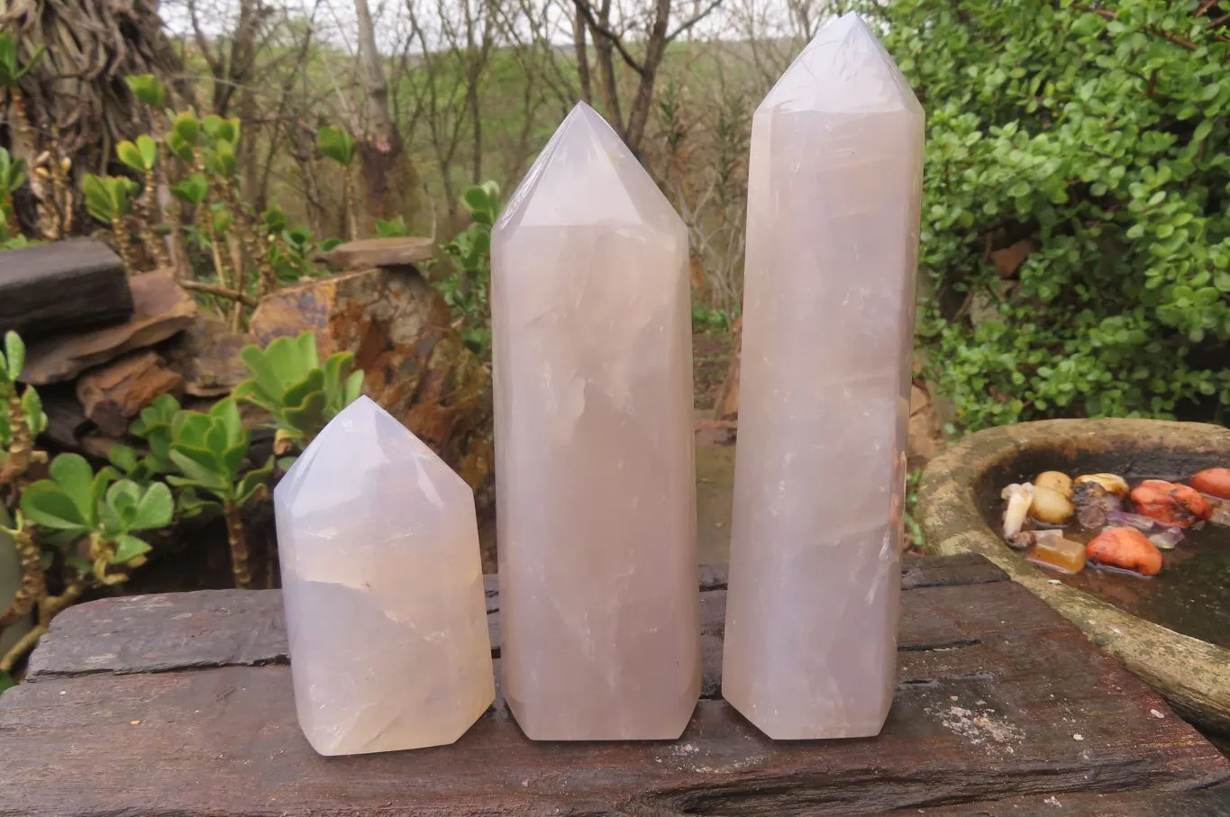Polished Blue Rose Quartz Points x 3 From Madagascar