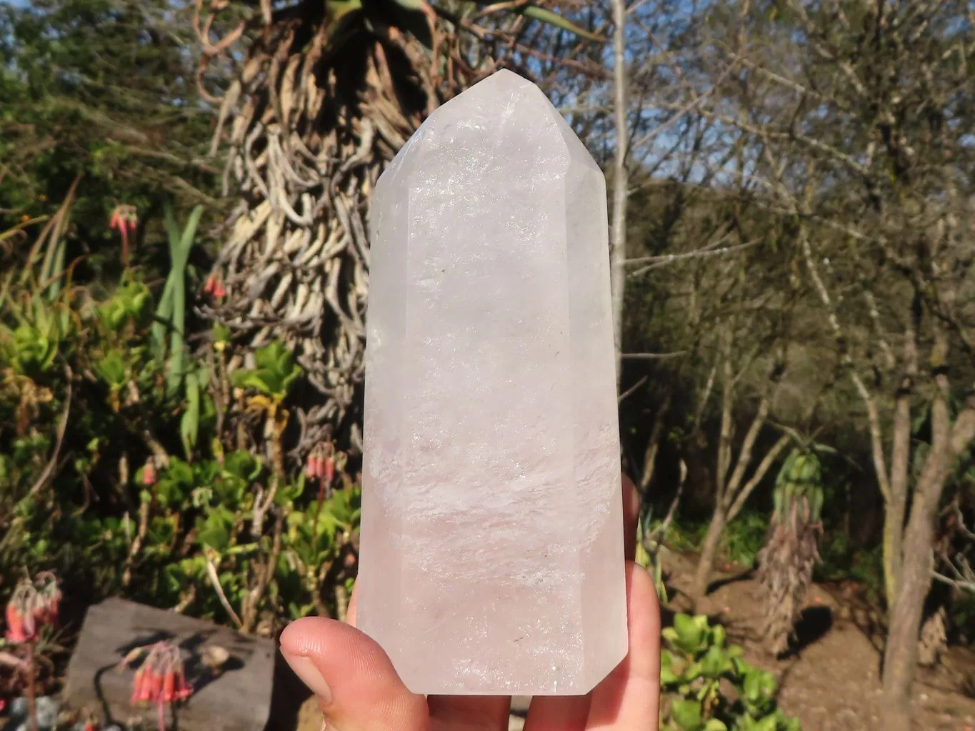 Polished Clear & Smokey Quartz Points  x 2 From Madagascar