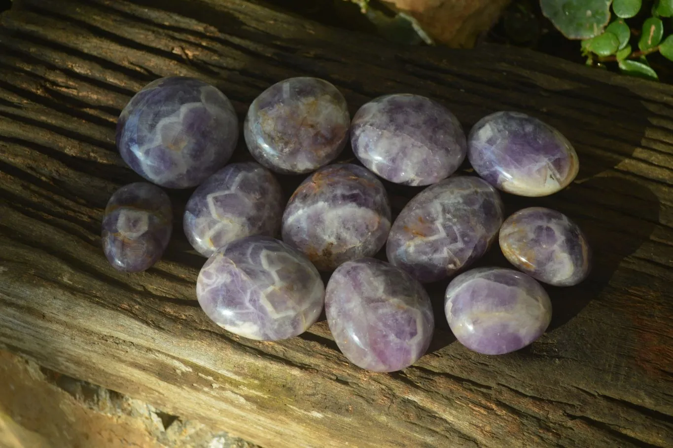 Polished Dream Amethyst Galet / Palm Stones x 12 From Madagascar