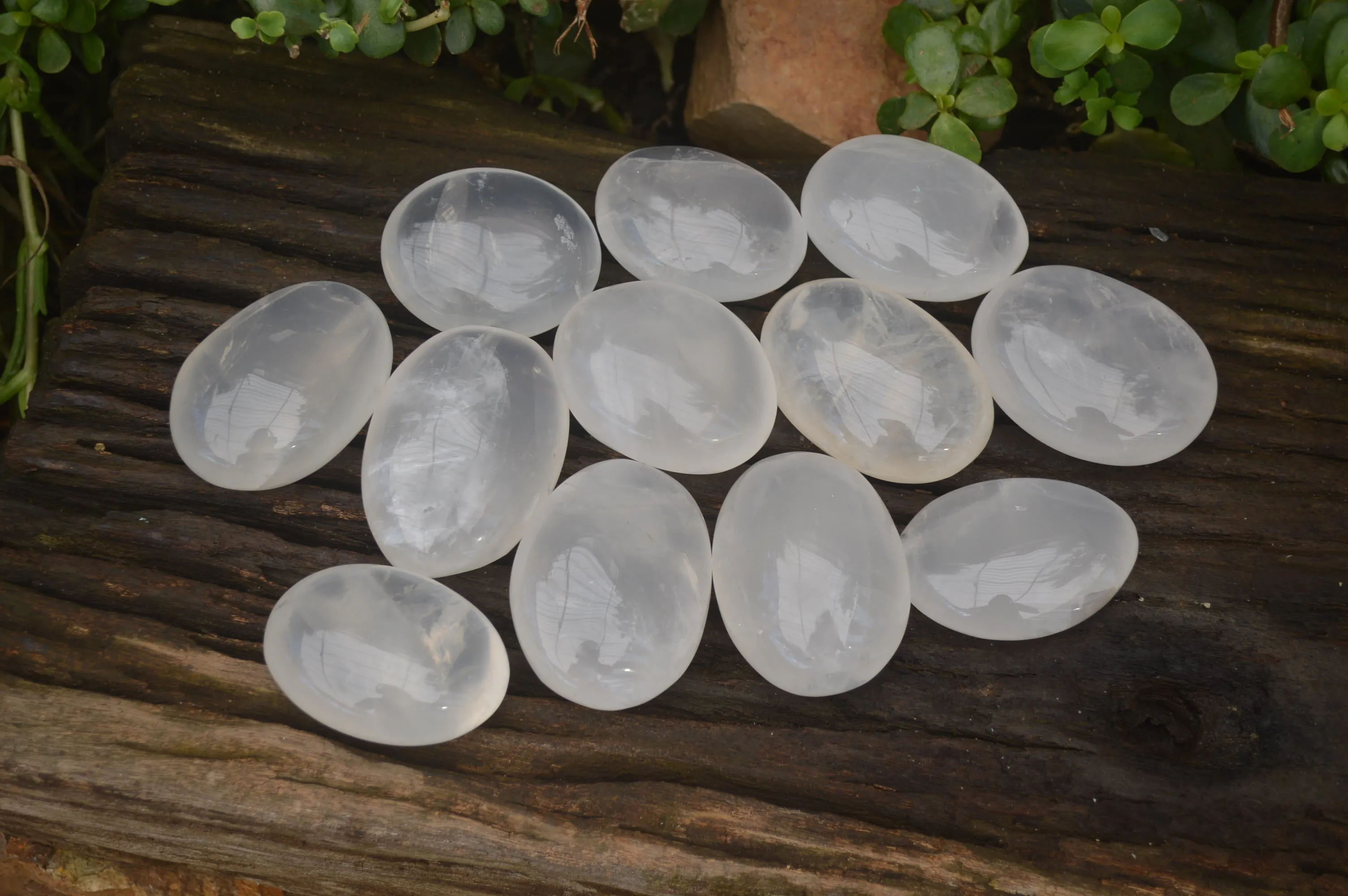 Polished Girasol Pearl Quartz Palm Stones x 12 From Ambatondrazaka, Madagascar