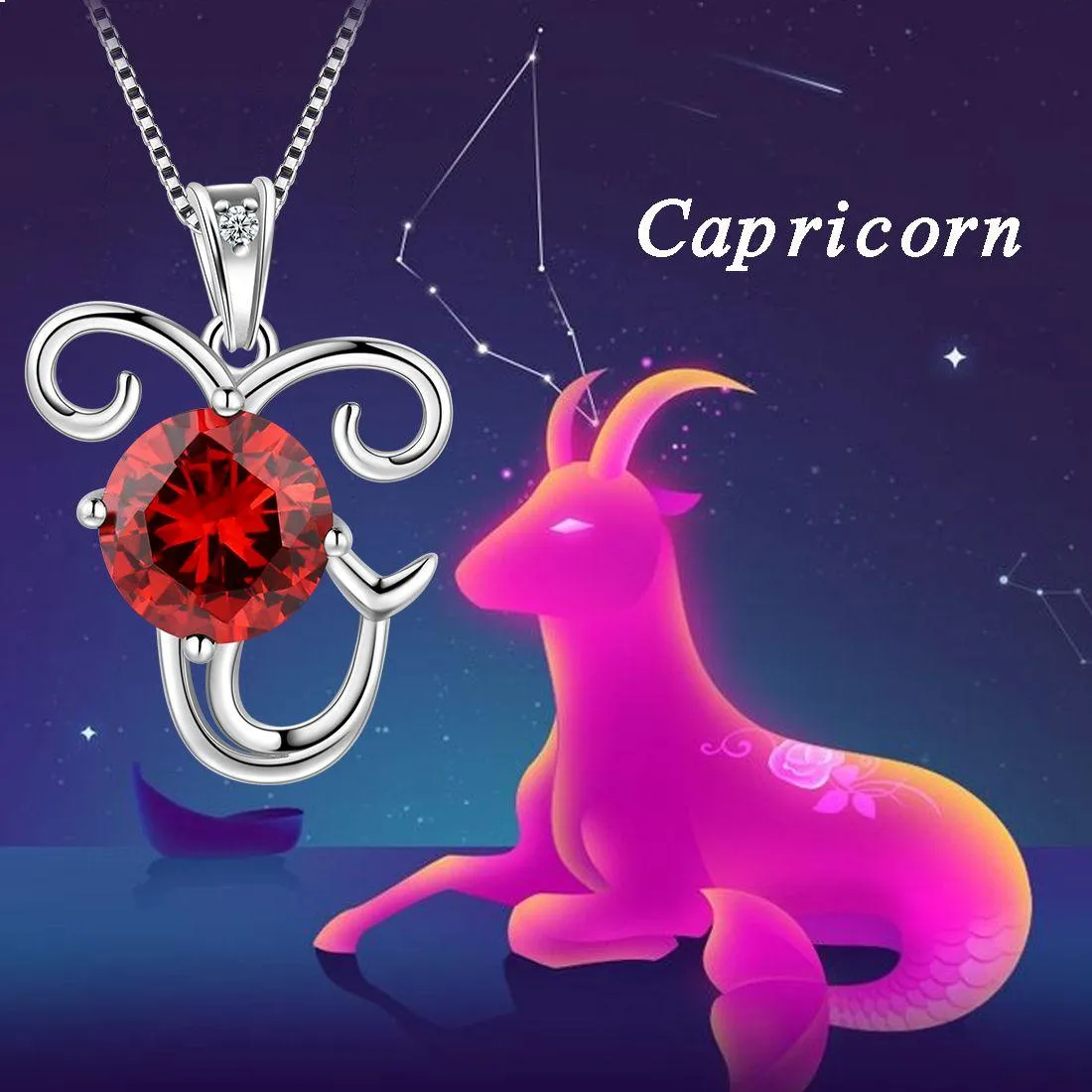 Tokyo Mart Capricorn Zodiac Necklace January Birthstone Pendant Women Girls Jewelry Birthday Gift Women Girls Jewelry Birthday Gift